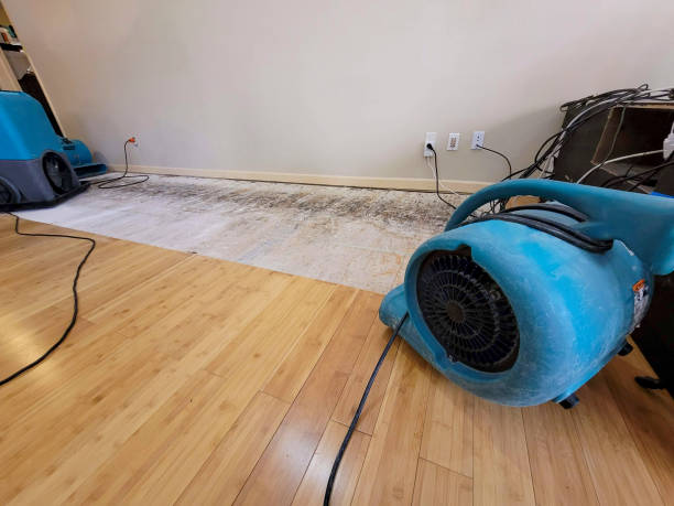Professional Flood Damage Cleanup technician working in Summit, IL